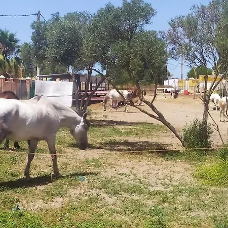 Granja America *
